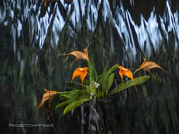 Fotoletter_Maerz_2021_Bild1_1600x1200