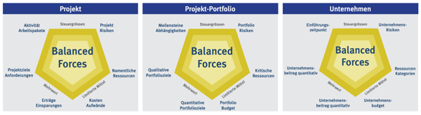 Einsatz auf allen Führungsebenen Project Competence