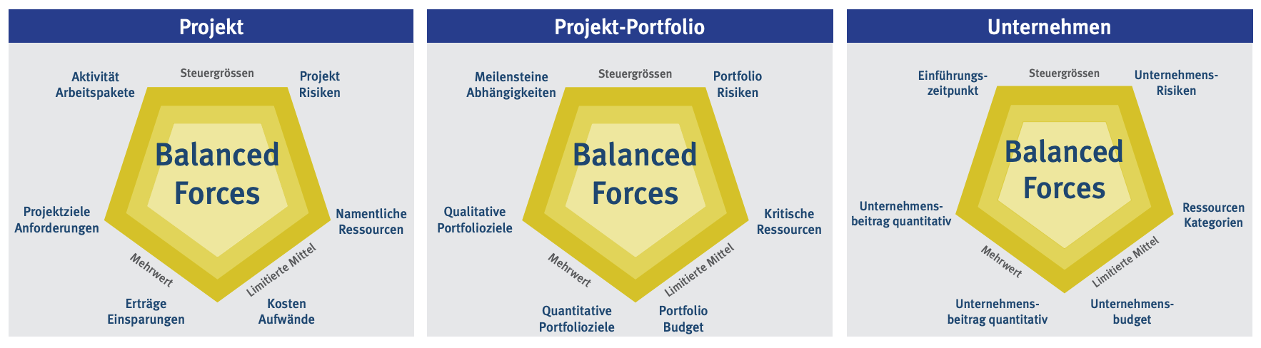 Blog Featured Image - Balanced Forces – und Sie steuern und führen gezielt Ihr Projekt-Portfolio