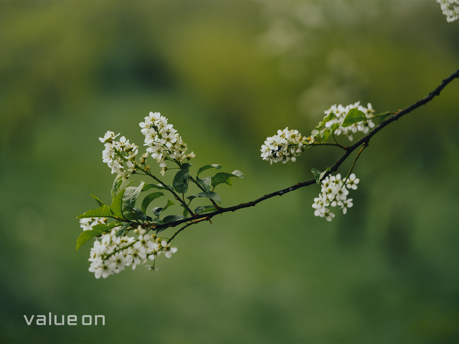 Blog Featured Image - Fotoletter: Der Herbst ist da!