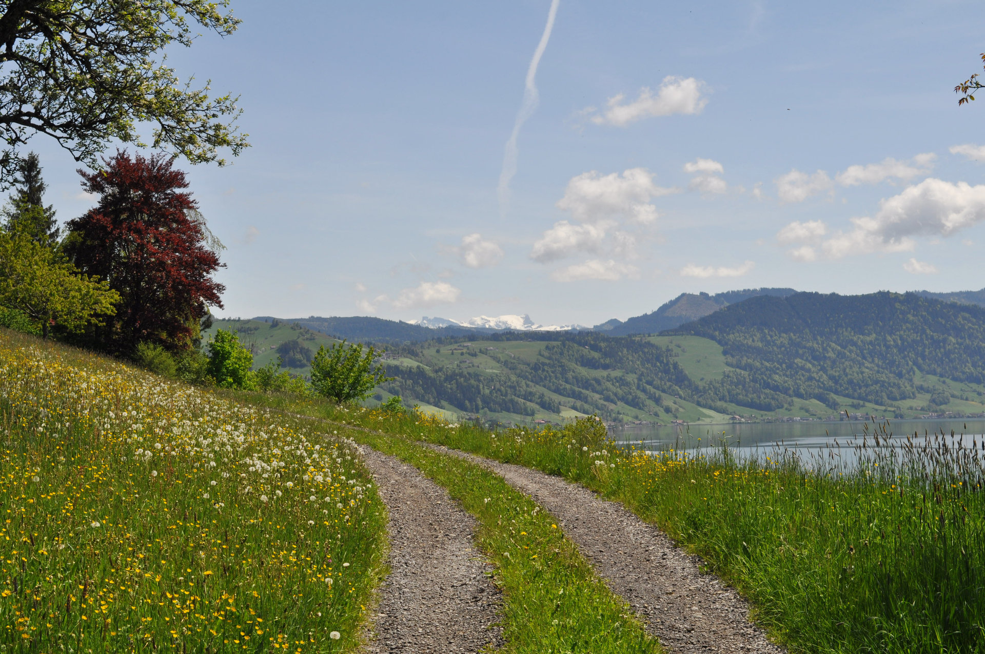 Etat de Vaud: Stimmungsbild am Genfersee zu IT Beratungsprojekt zur Bereinigung von IT- und Netz­werk-Land­schaft, Implementation neuer Pro­zes­se